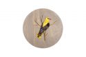 Oriole Wooden Image